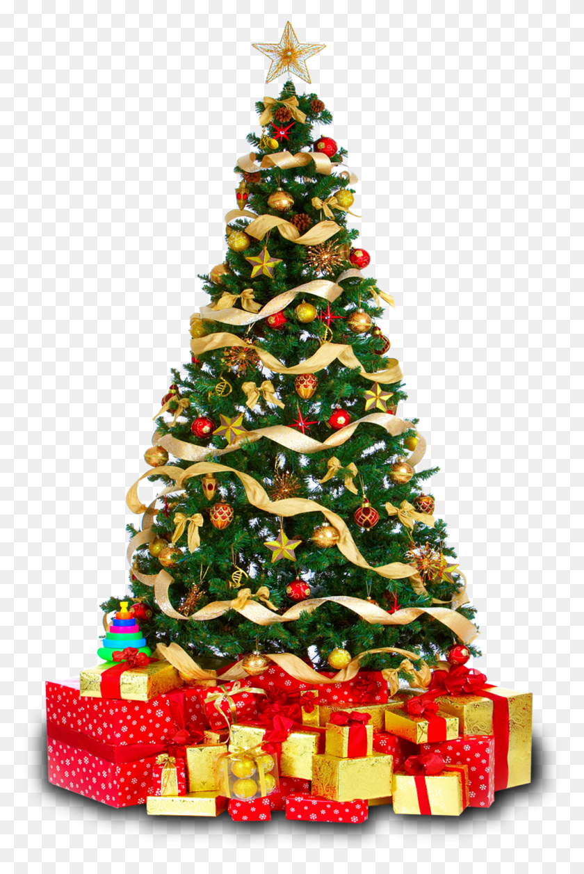 1298x1992 Christmas Sale, Tree, Plant, Christmas Tree HD PNG Download