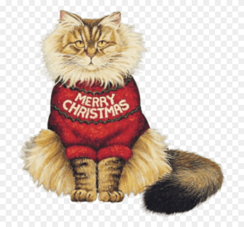 717x719 Рождественская Наклейка День Святого Патрика Кошка, Одежда, Одежда, Млекопитающее, Hd Png Скачать