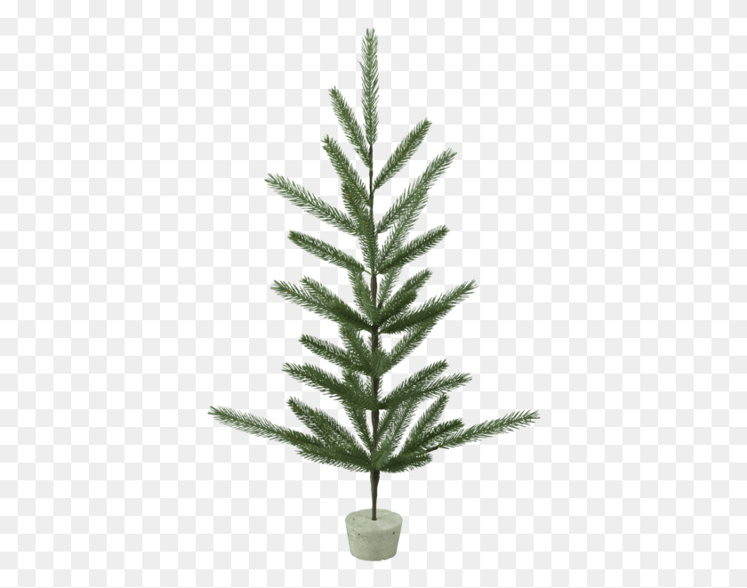 376x601 Christmas Tree, Tree, Plant, Conifer HD PNG Download