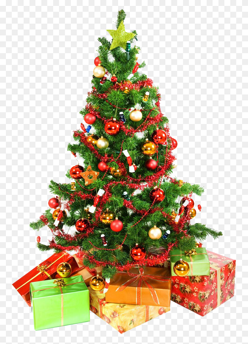 761x1105 Descargar Png / Arbol De Navidad, Adorno, Planta Hd Png