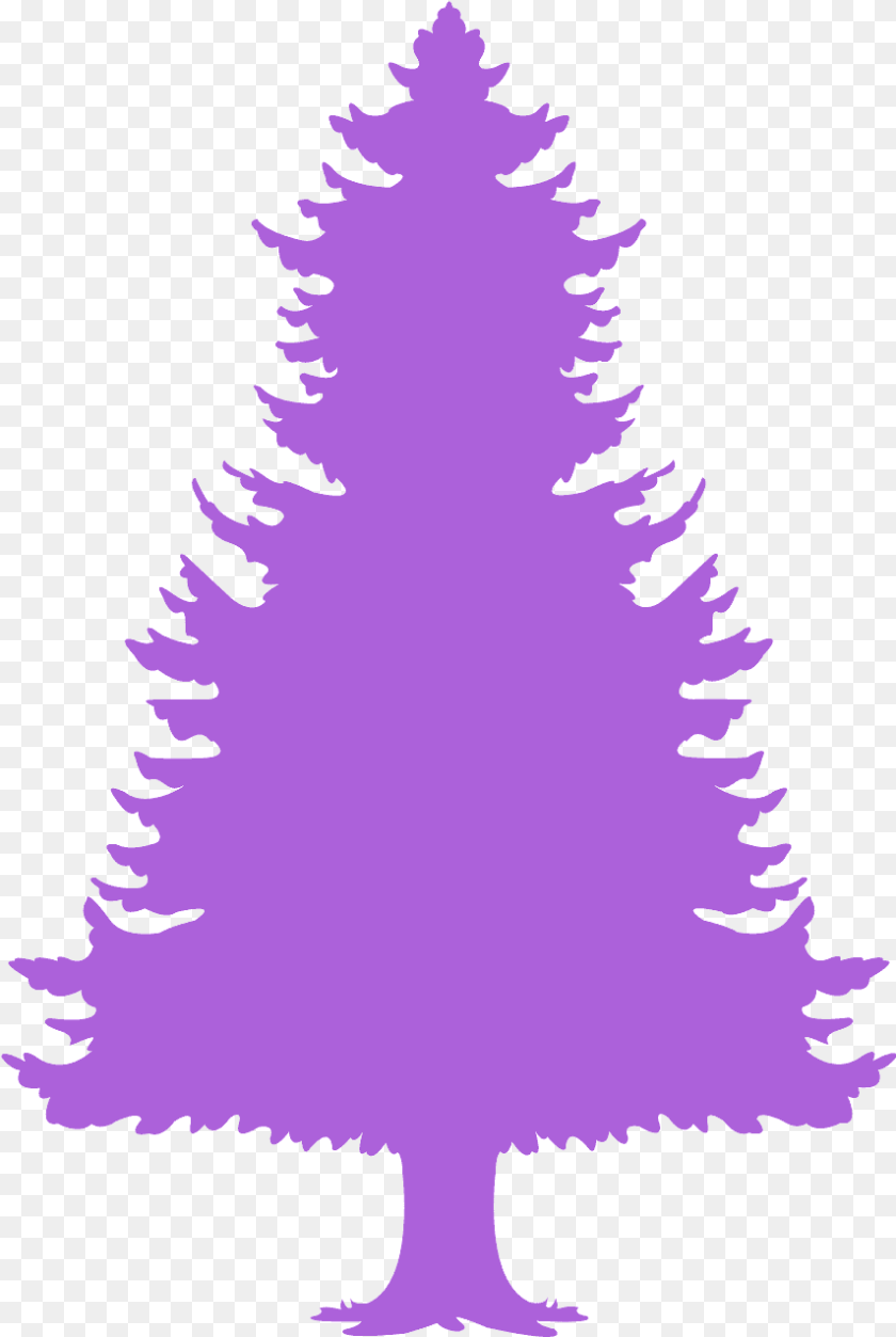855x1275 Christmas Tree, Plant, Fir, Adult, Wedding Clipart PNG