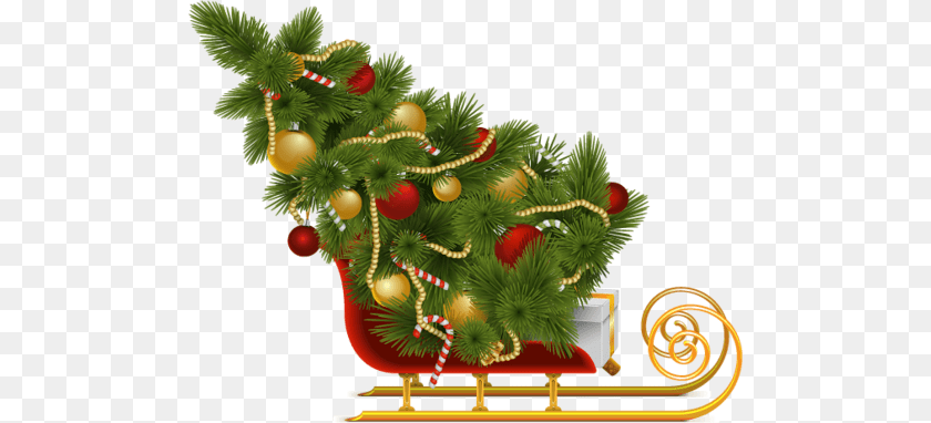 Christmas Tree, Plant, Christmas Decorations, Festival, Conifer Sticker PNG