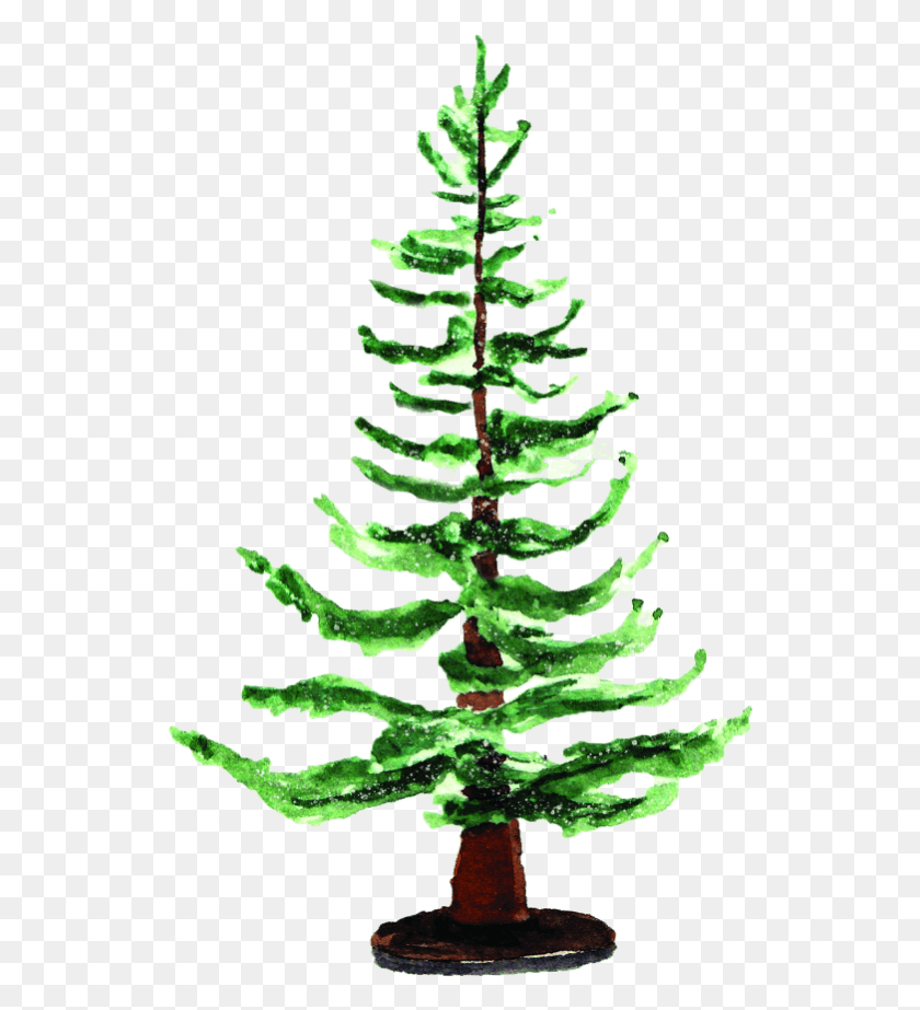 534x863 Christmas Tree, Plant, Tree, Conifer HD PNG Download
