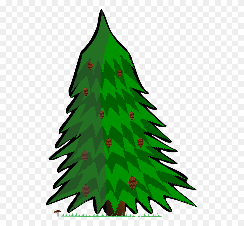 521x720 Christmas Tree, Tree, Plant, Ornament HD PNG Download