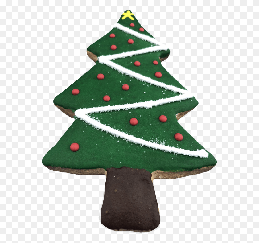 570x728 Christmas Tree, Tree, Plant, Ornament HD PNG Download