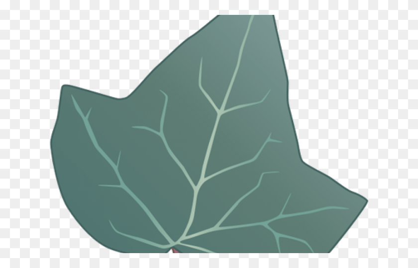 640x480 Christmas Tree, Leaf, Plant, Veins HD PNG Download