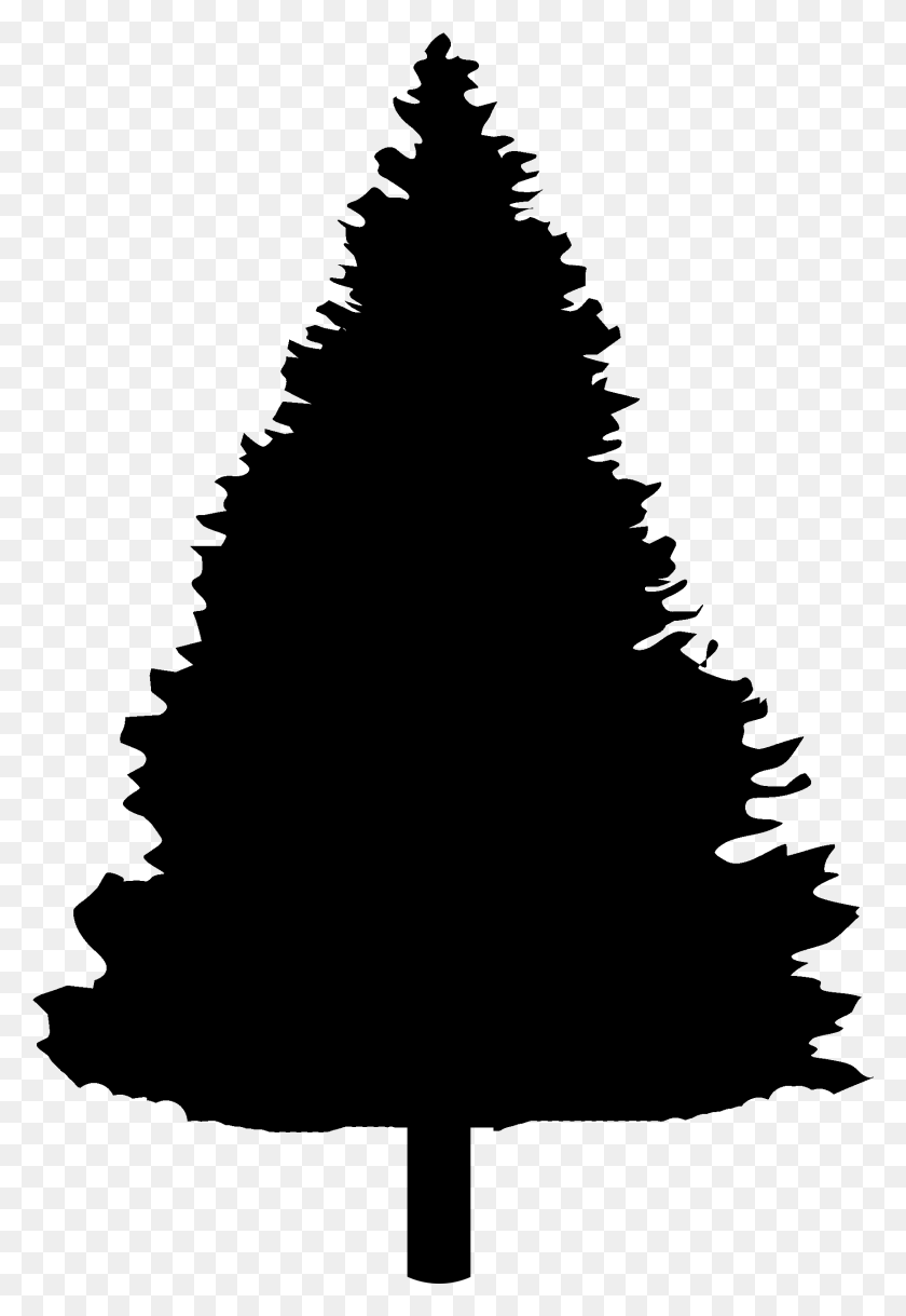 1737x2582 Christmas Tree, Gray, World Of Warcraft HD PNG Download