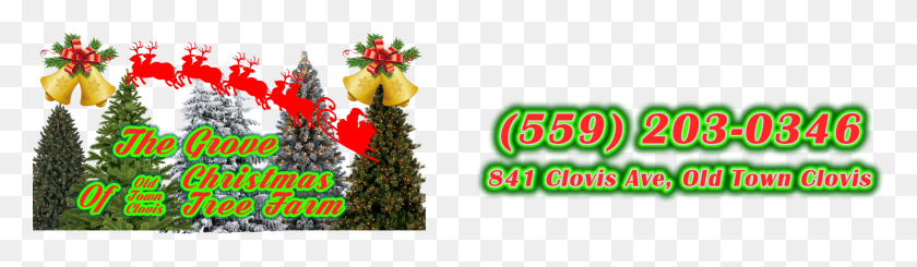 1734x412 Descargar Png / Arbol De Navidad Png