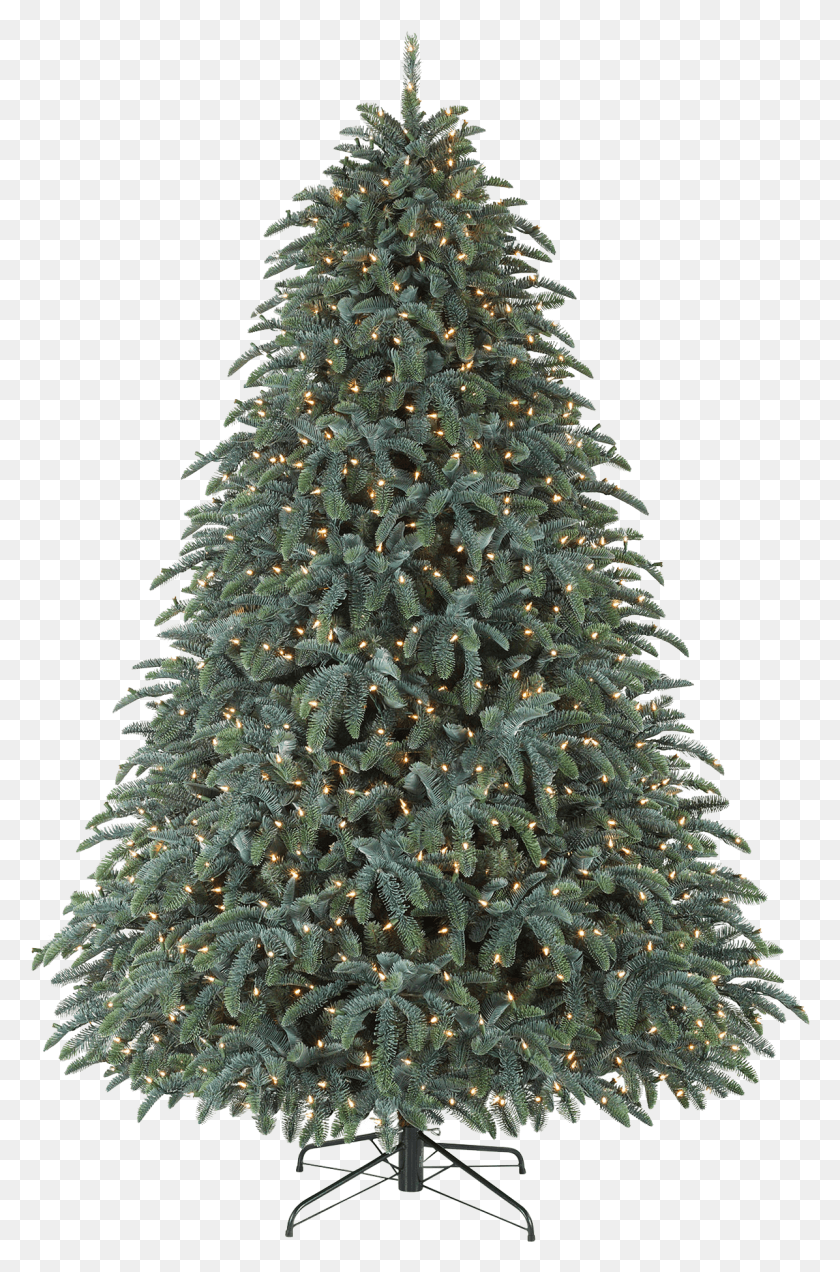 1196x1859 Christmas Tree, Tree, Ornament, Plant HD PNG Download