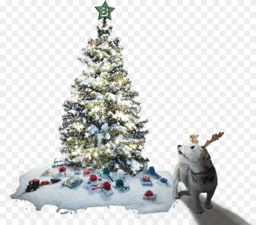 1700x1497 Christmas Tree And Max The Dog Tofu Snowfall Projector Fairy Light Christmas Snowflake, Plant, Pet, Mammal, Canine Clipart PNG