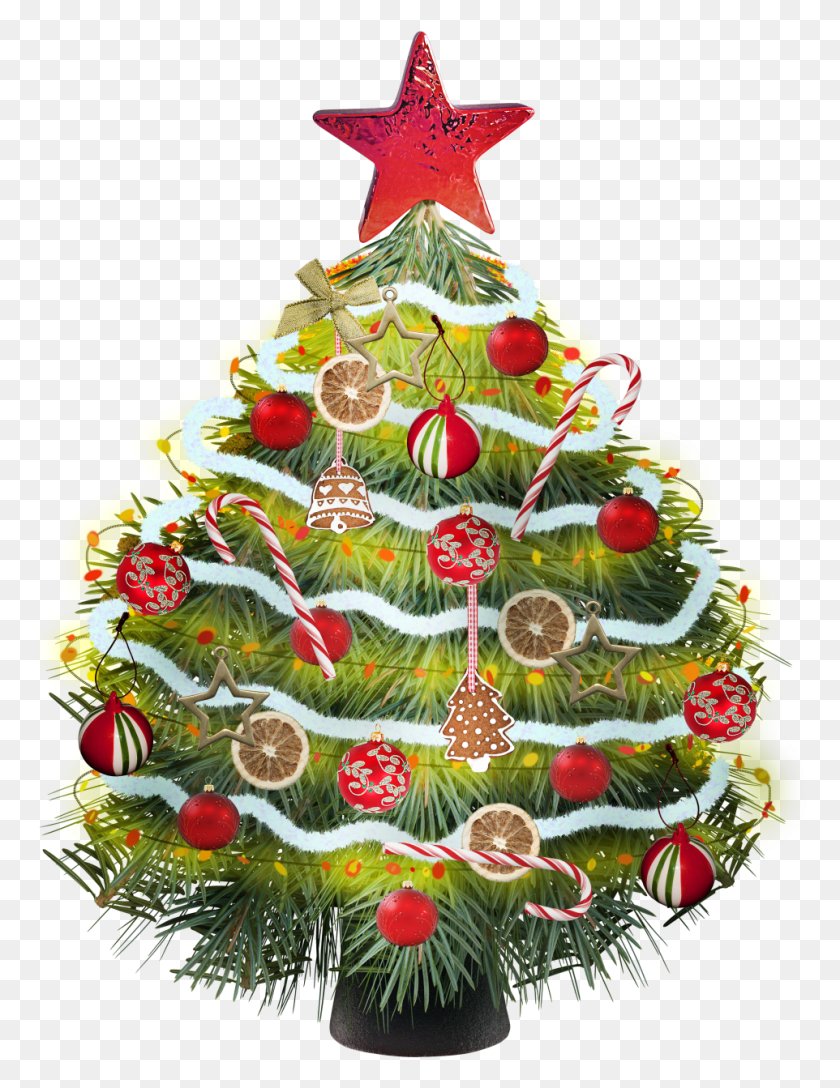 962x1269 Christmas Tree Arbolito De Navidadpng, Tree, Plant, Ornament HD PNG Download