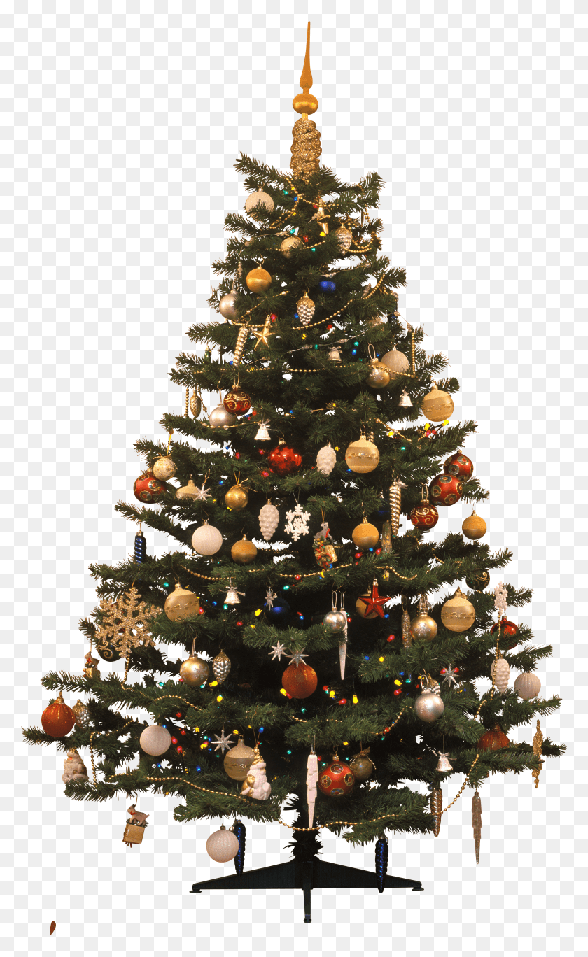 2730x4578 Christmas Tree Christmas Tree HD PNG Download