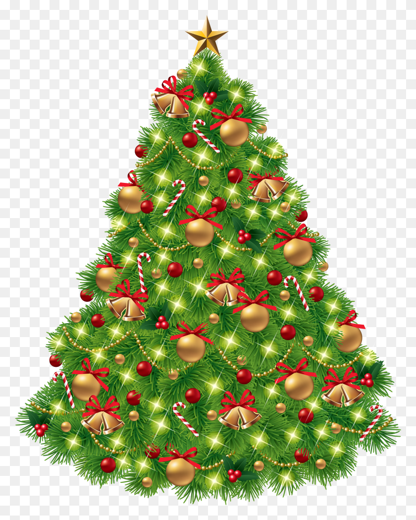 1923x2439 Christmas Tree Clipart Transparent Background Christmas Tree Clip Art HD PNG Download