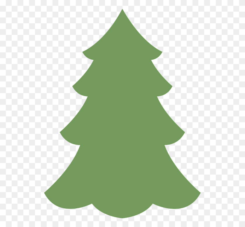 537x720 Christmas Tree Fir Christmas Feast Celebrate Green, Tree, Plant, Ornament HD PNG Download