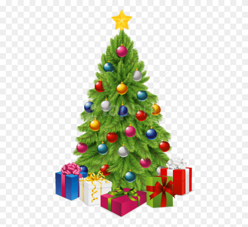 480x709 Christmas Tree Gifts Christmas Tree Image Transparent, Tree, Ornament, Plant HD PNG Download