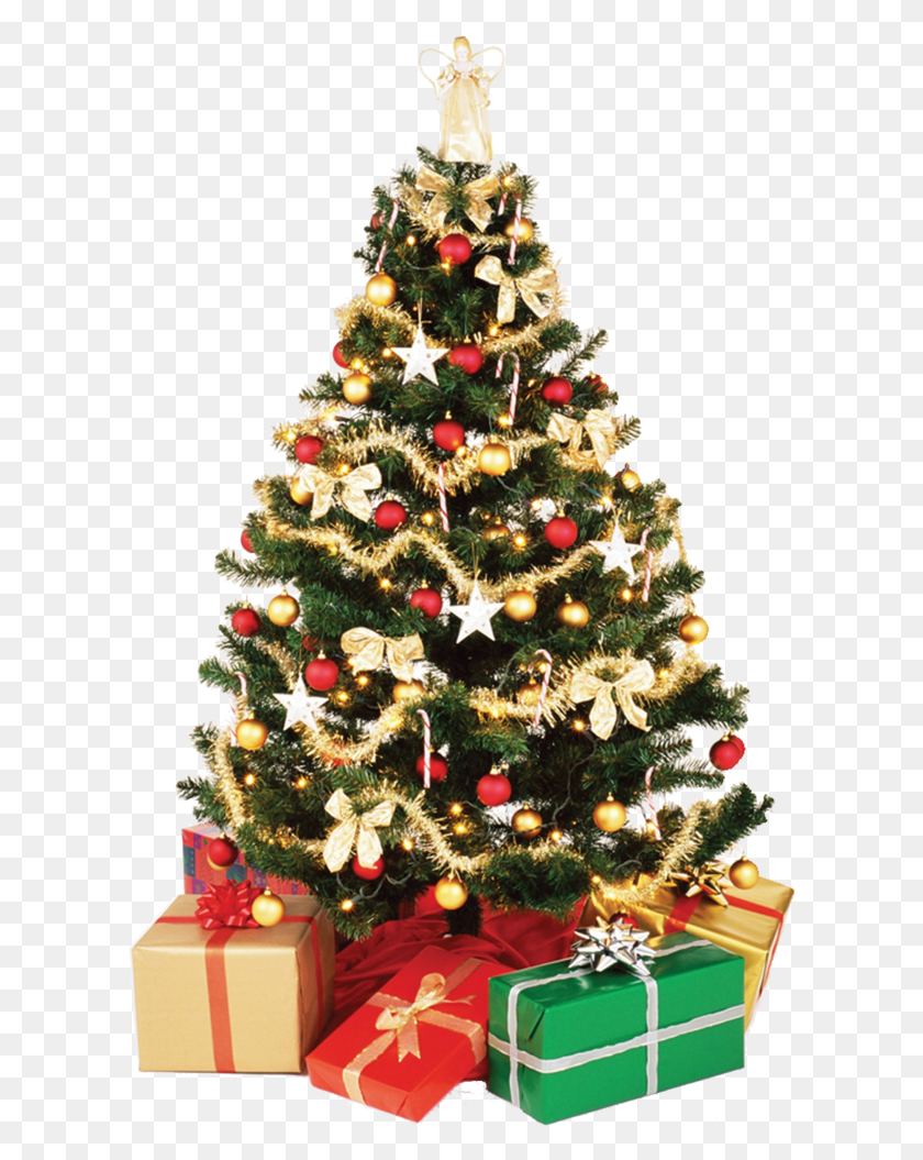 608x995 Christmas Tree High Resolution Christmas Tree, Tree, Ornament, Plant HD PNG Download