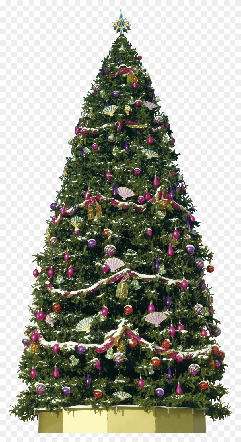 2870x5440 Descargar Png / Arbol De Navidad Hd Png