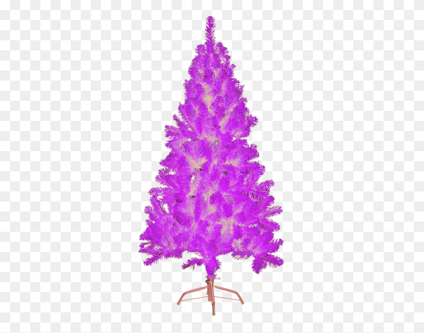 293x601 Christmas Tree Nebraska Transparent Purple Christmas Tree, Tree, Plant, Ornament HD PNG Download