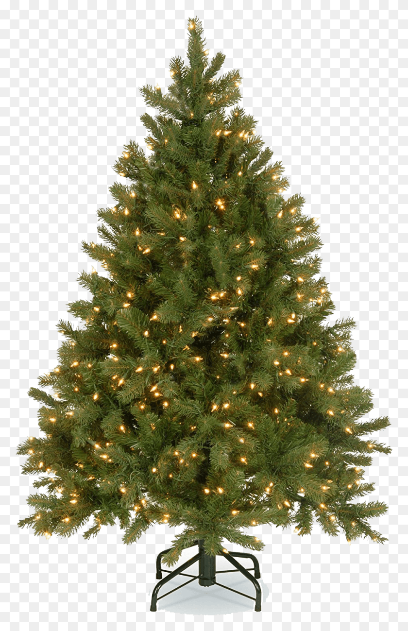 926x1471 Christmas Tree No Ornaments, Tree, Ornament, Plant HD PNG Download