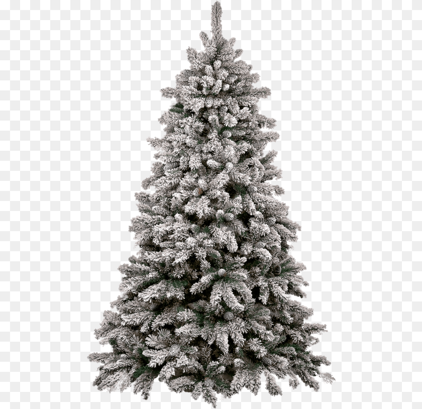 497x814 Christmas Tree Snow Pine Tree, Plant, Fir, Christmas Decorations, Festival Transparent PNG