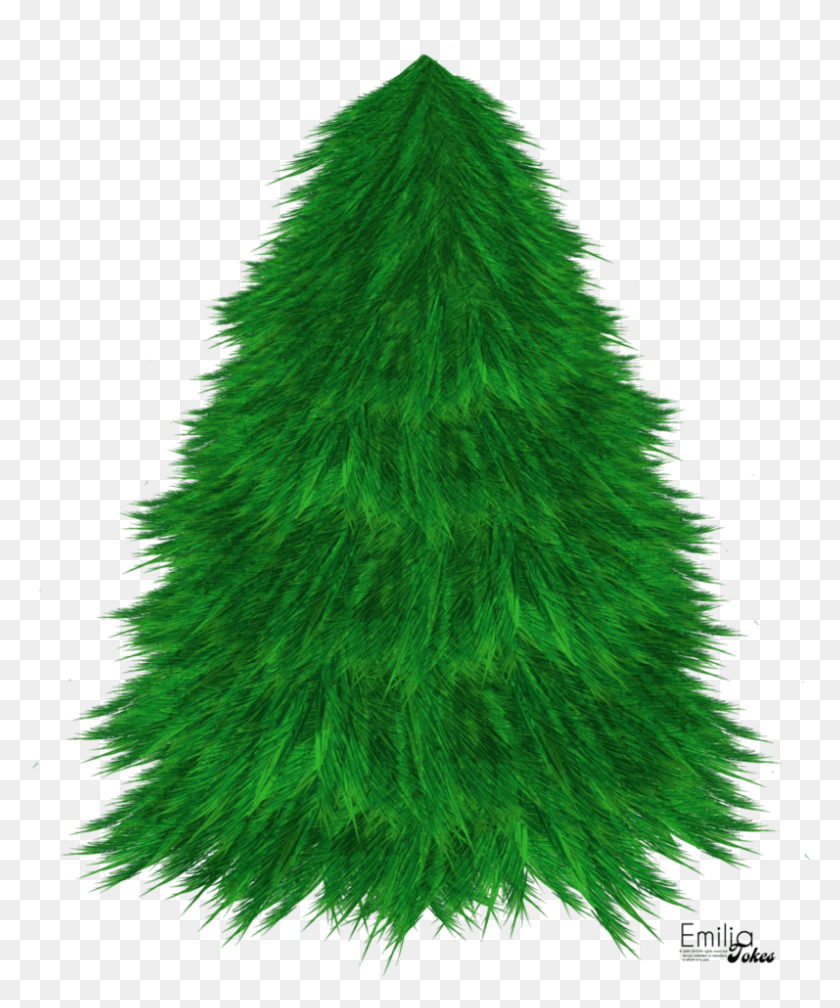 797x969 Christmas Tree Stock Illustration By Zemimsky On Clipart Christmas Tree, Tree, Plant, Ornament HD PNG Download