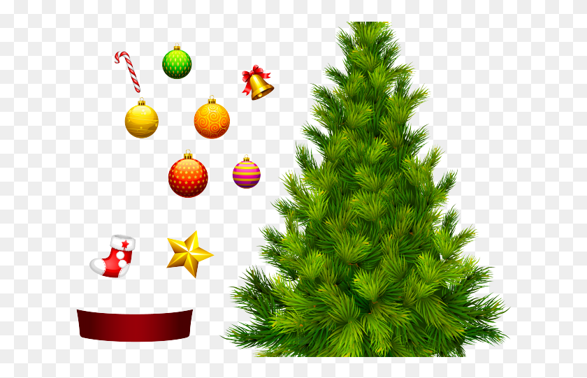 624x481 Рождественская Елка На Прозрачном Фоне, Дерево, Орнамент, Растение Png Скачать