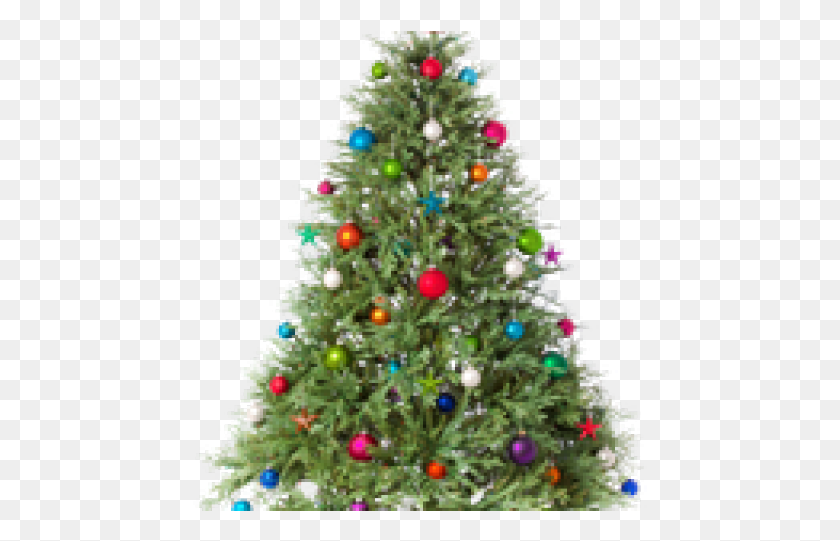 455x481 Christmas Tree Transparent Images Real Christmas Tree Transparent, Tree, Ornament, Plant HD PNG Download