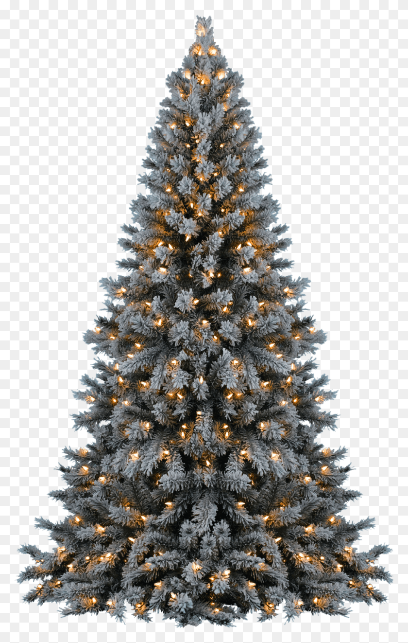 900x1457 Christmas Tree Transparent Justin Bieber Christmas Background, Tree, Ornament, Plant HD PNG Download