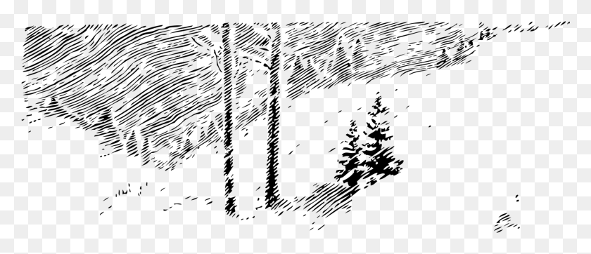 1931x750 Christmas Tree Twig Pine Computer Icons Winter Trees Clip Art, Gray, World Of Warcraft HD PNG Download