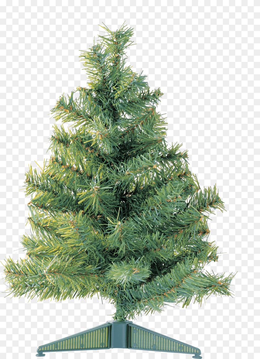 Christmas Tree Undecorated Christmas Tree Clipart PNG