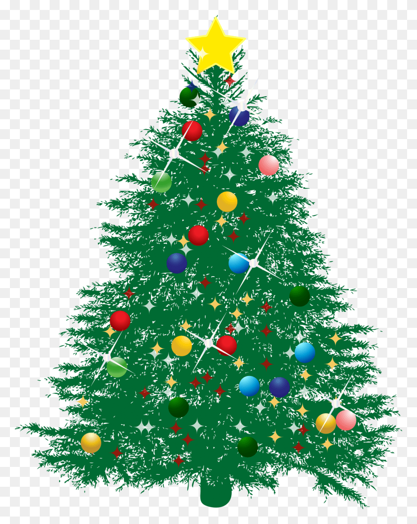 1474x1882 Christmas Tree Vector For Free On Mbtskoudsalg, Tree, Ornament, Plant HD PNG Download