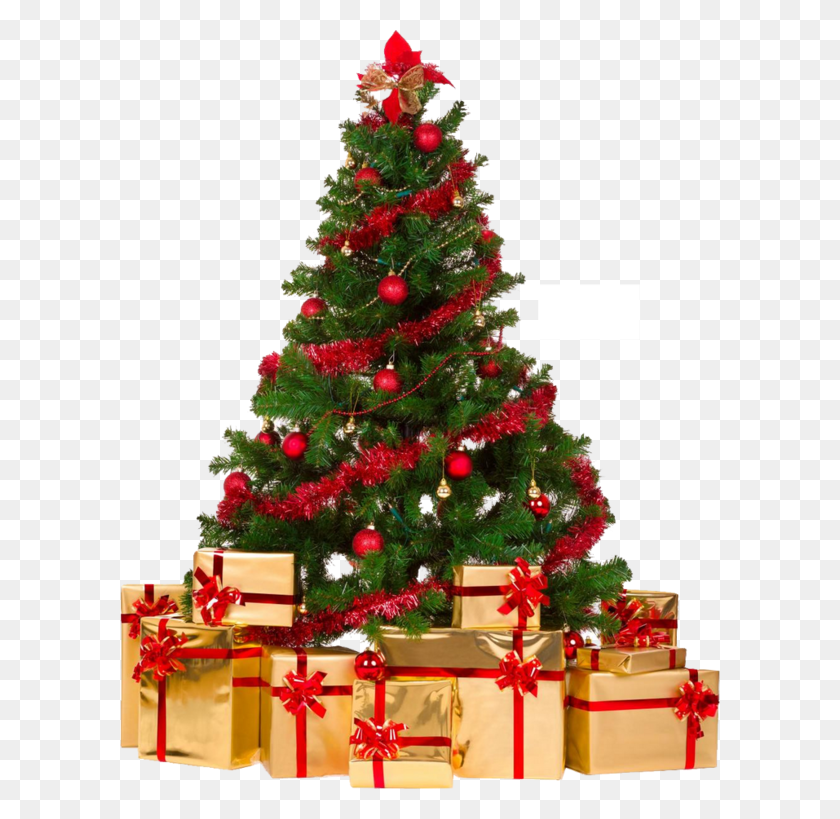 600x759 Christmas Tree With Gifts Christmas Wishes Christmas Christmas Tree Decorations Ideas 2017, Ornament, Plant, Vegetation HD PNG Download