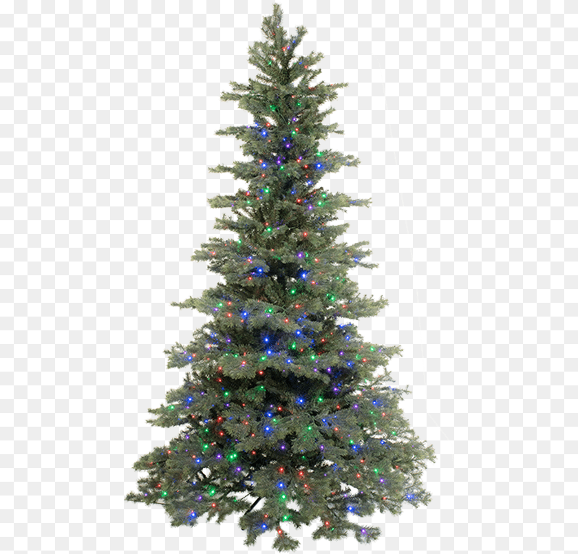 483x805 Christmas Trees Madrid, Plant, Tree, Christmas Decorations, Festival Transparent PNG