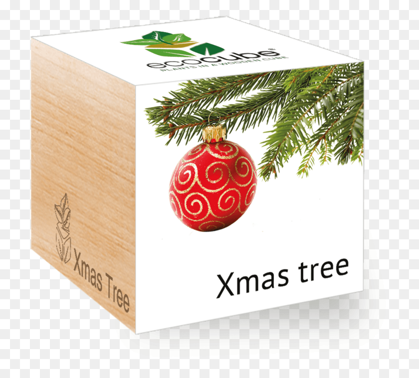 722x698 Christmas Trees Packaging, Plant, Tree, Box HD PNG Download