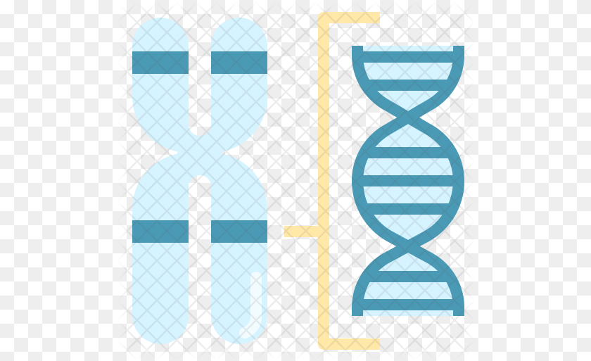 Chromosome Structure Icon Louvre, Hourglass Transparent PNG
