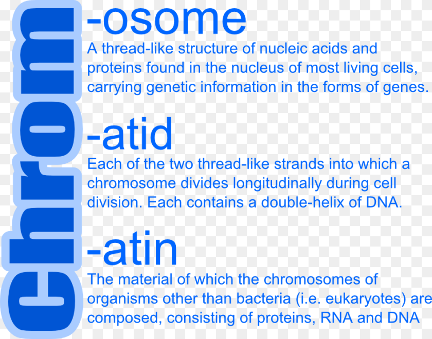 Chromosomes Vs Chromatin Vs Chromatids, Advertisement, Poster, Text PNG