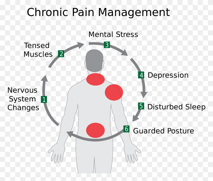 1643x1380 Симптомы Хронического Стресса Лечение Хронической Боли, Человек, Человек, Жонглирование Hd Png Скачать