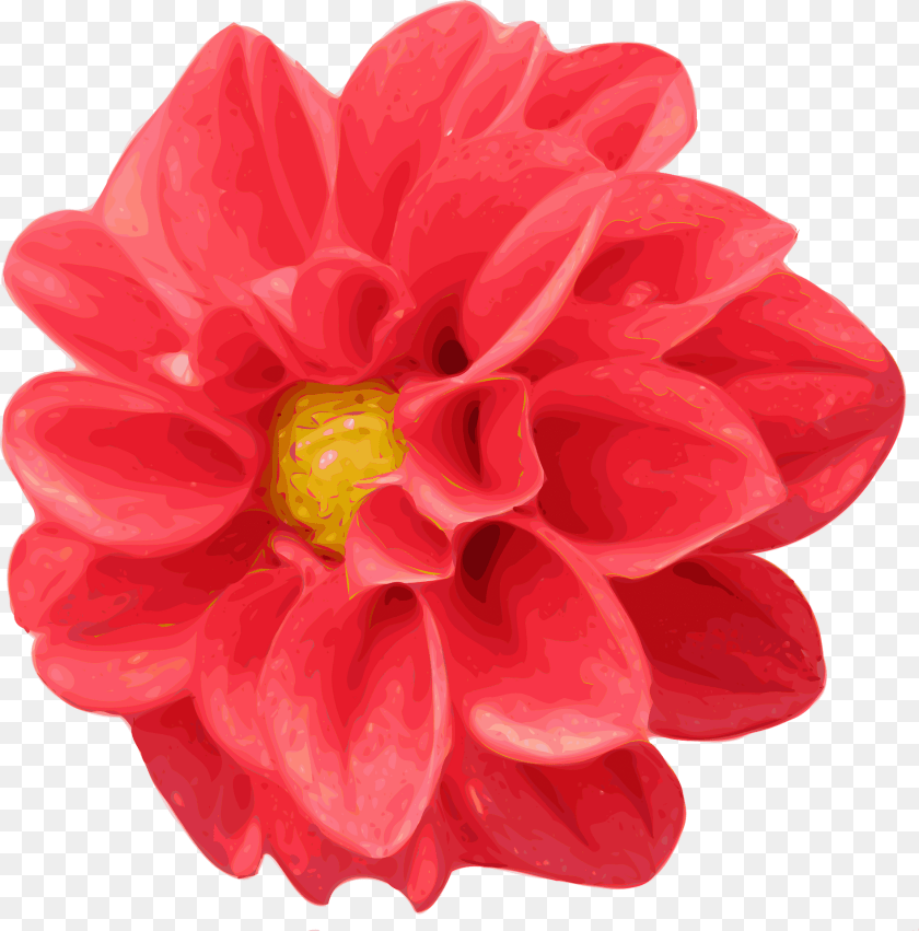 Chrysanthemum Clipart, Dahlia, Flower, Plant PNG