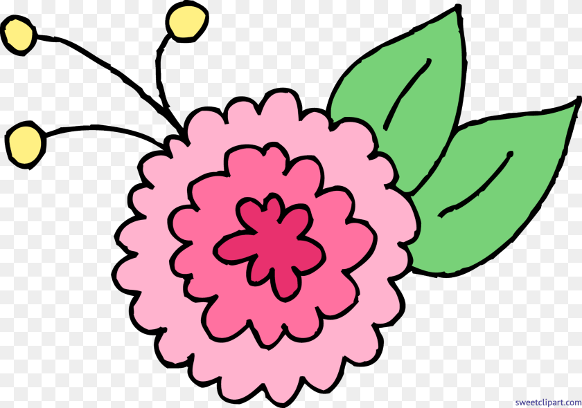 5688x3992 Chrysanthemum Flower Pink Clip Art, Dahlia, Plant, Carnation, Petal Clipart PNG