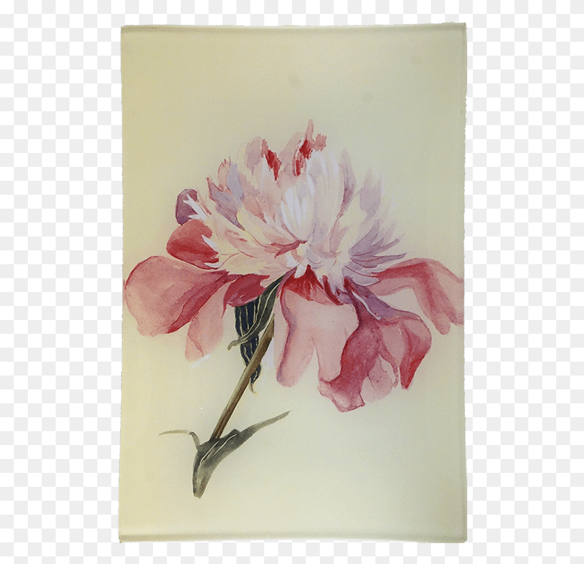 504x751 Chrysanths, Floral Design, Pattern HD PNG Download
