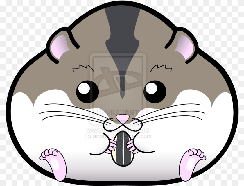 Chubby Russian Dwarf Hamster Russian Dwarf Hamster Drawing, Animal, Baby, Person Sticker PNG