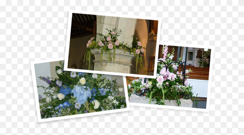 647x405 Church Flowers Alton Baby Blue Eyes, Plant, Potted Plant, Vase HD PNG Download