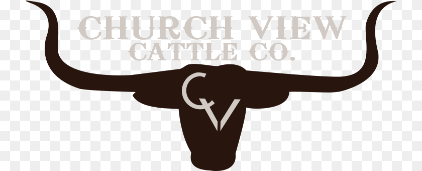 740x340 Church View Cattle Co Black Creek, Animal, Livestock, Longhorn, Mammal PNG