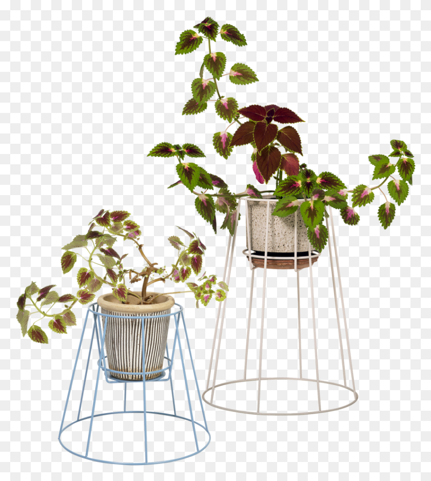 825x928 Cibele Plant Stand Cibele Plant Stand Ok Design, Tabletop, Furniture, Potted Plant HD PNG Download