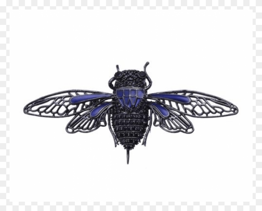 1201x952 Cicada, Accessories, Accessory, Jewelry HD PNG Download