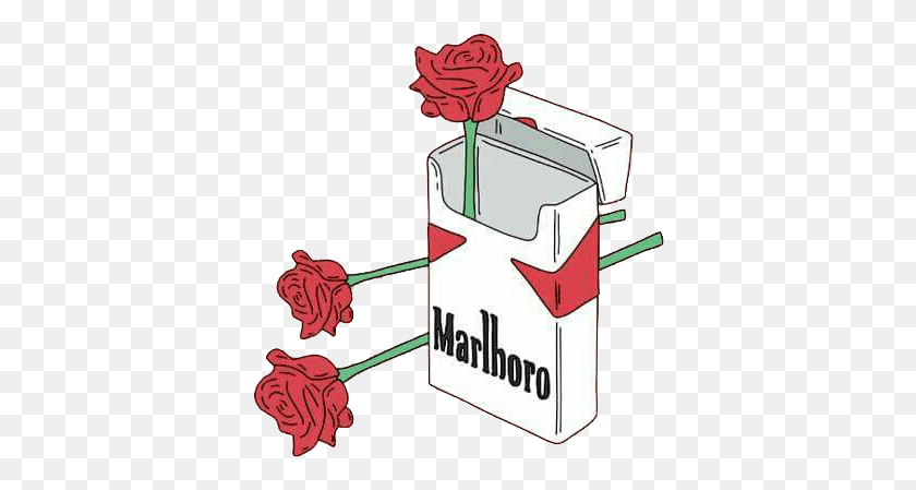 380x389 Cigarro Sticker Marlboro And Rose, Text, Beverage, Drink HD PNG Download