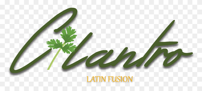 1436x588 Cilantro Restaurant Stamford Cilantro Restaurant Stamford Logo, Jarrón, Jar, Cerámica Hd Png