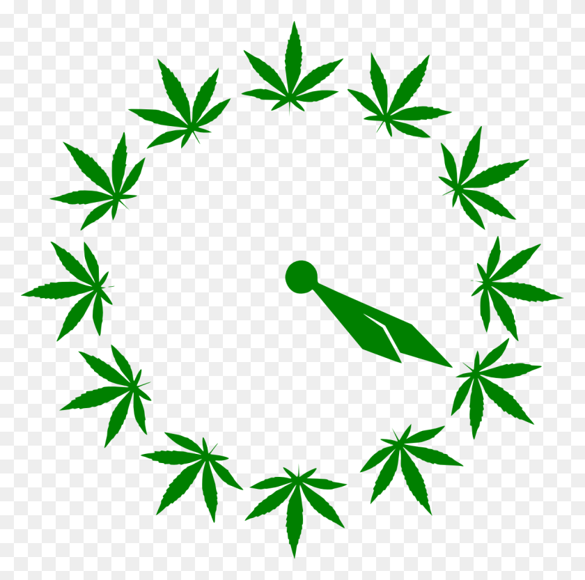 1136x1126 Cinco De Mayo Cannabis, Plant, Leaf, Bamboo HD PNG Download