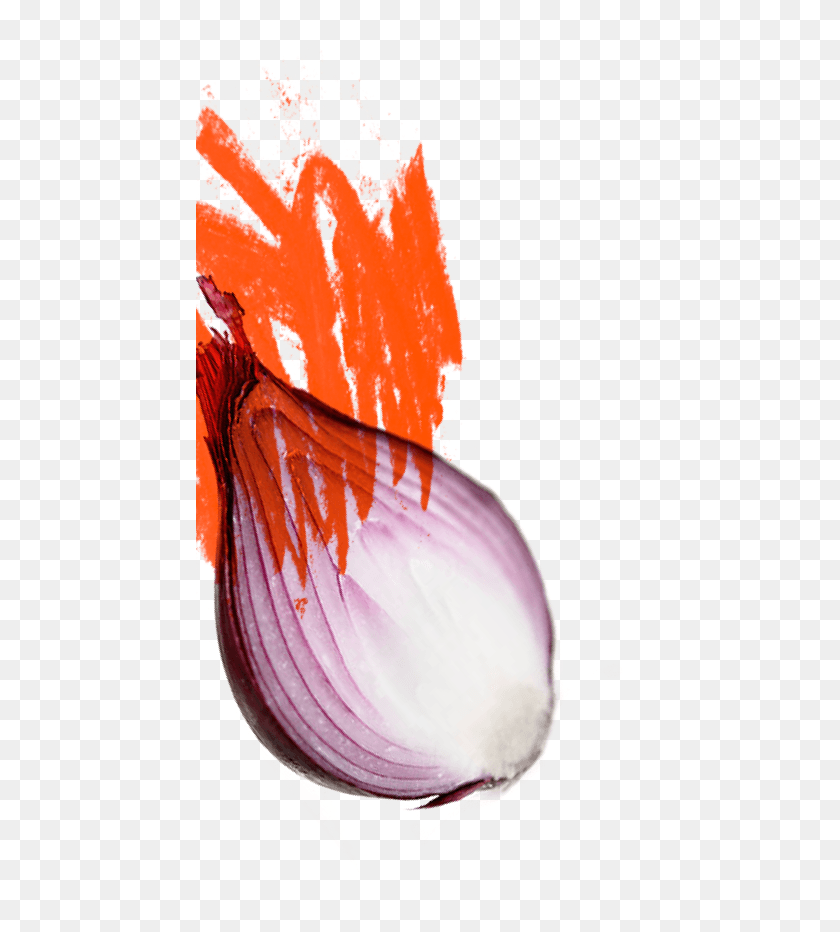 447x872 Cinder House Flame One Red Onion, Plant, Food, Petal HD PNG Download