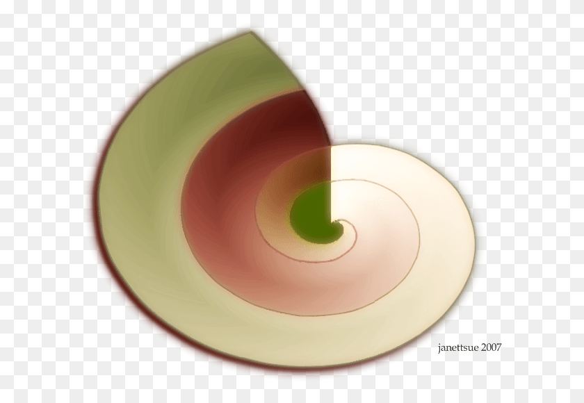 605x520 Circle, Spiral, Tape, Clam HD PNG Download